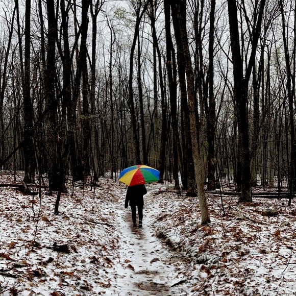 Meet your Posher, Miranda - Picture 1 of 1